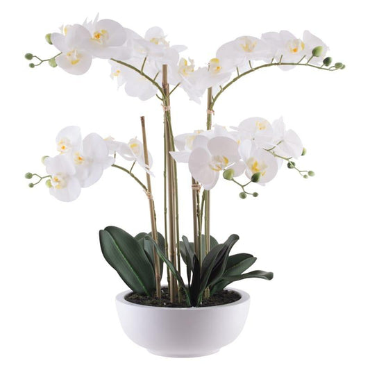 WHITE ORCHID IN POT 64CM