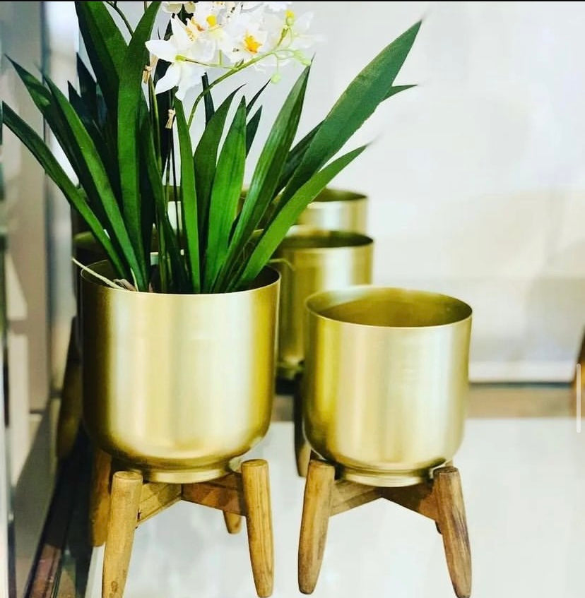 Gold Pot Plant Set